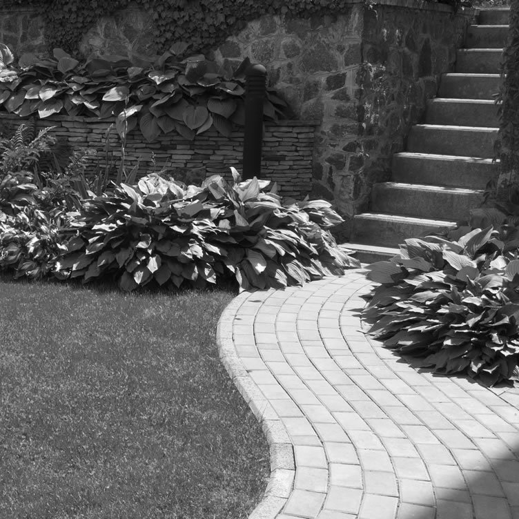 management-service-including-gardening