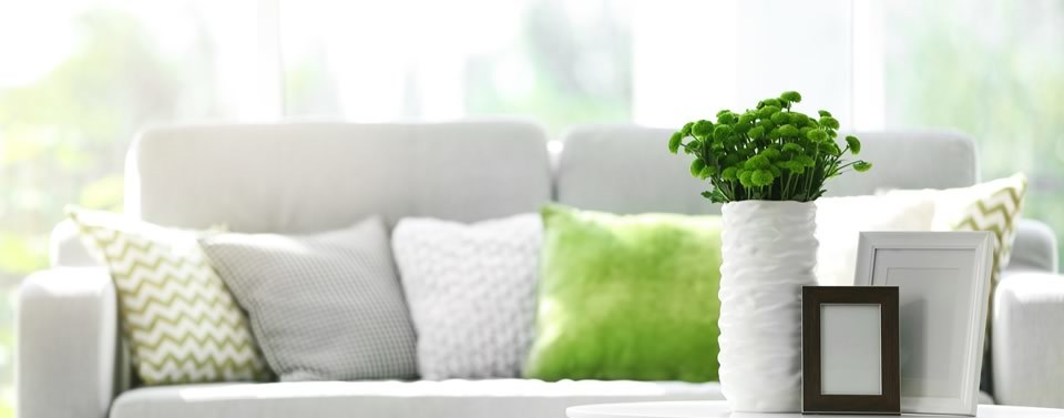Spring-Cleaning-Services-Ludlow
